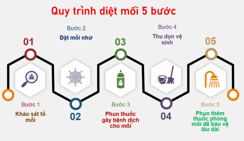 QUY TRÌNH DIỆT MỐI MỌT TẬN GỐC